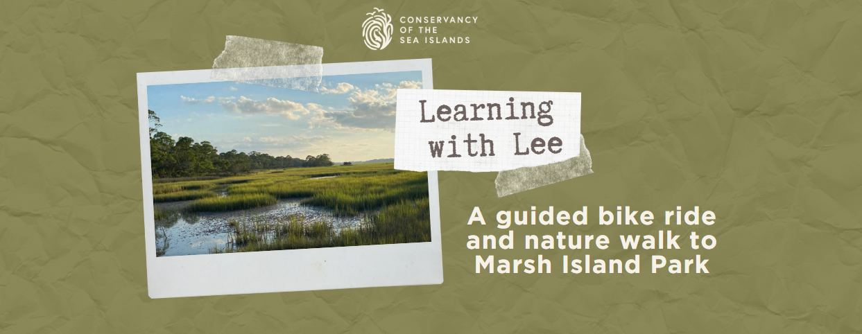 Learning with Lee